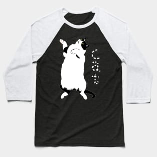 Rolling Cat! Baseball T-Shirt